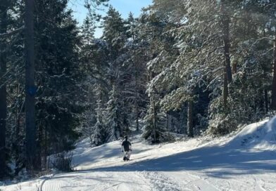 Øgning i antal skidage i Sverige med 4 procent